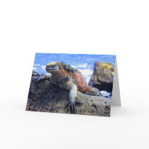 Marine Iguana Greeting Card