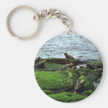 Marine Iguana Colony Key Chains
