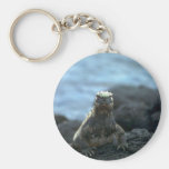 Marine Iguana-Fernandina Island, Galapagos Key Chain