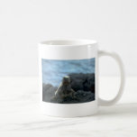 Marine Iguana-Fernandina Island, Galapagos Coffee Mugs