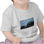 Marine Iguana-Fernandina Island, Galapagos T-shirts