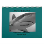 Marine Life 2011