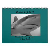 Marine Life 2011 Wall Calendars