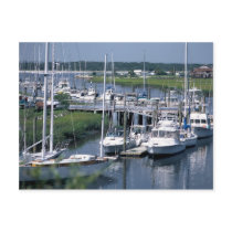 Marine postcards by roimim Marine postcards