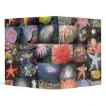 Marine Species Collage - Avery Binder