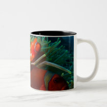 MarineBio Anemonefish Mug