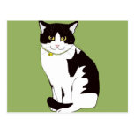 Mario da Cat Postcards