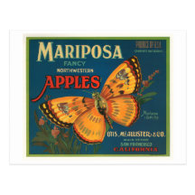 Mariposa Brand Apples Vintage Crate Label - Butter Postcard