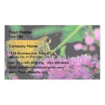 Mariposa europea del capitán en Mistflower Plantillas De Tarjetas Personales