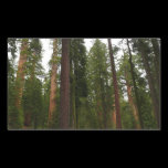 Mariposa Grove Sticker