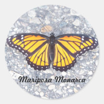 Mariposa Monarca Sticker