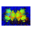 Mariposa posters