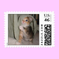 Marissa's Postage postage