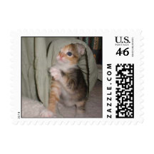 Marissa's Postage
