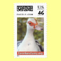 Marjorie the Duck postage