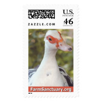 Marjorie the Duck stamps