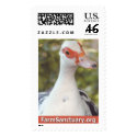 Marjorie the Duck postage by FarmSanctuary Marjorie the Duck postage