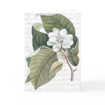 Mark Catesby Magnolia Collage w/ Essay on Flowers cards