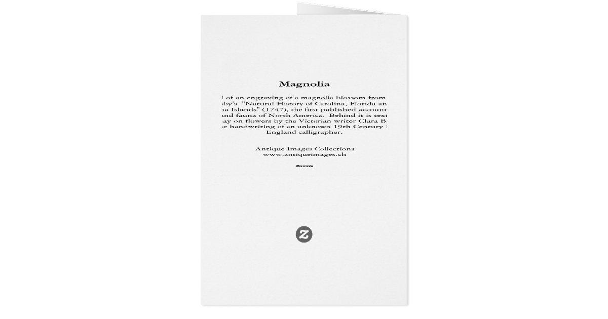 short essay of flowers short essay of flowers