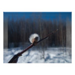 Marker of Spring Art Photo