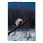 Marker of Spring; Customizable Cards