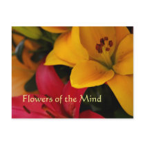 Market Flowers II postcards by sukimerk Market Flowers II postcards