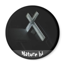 marks the spot magnets