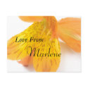 Marlene postcards