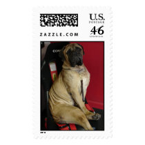 Marley postage by BrightIdeas Marley postage