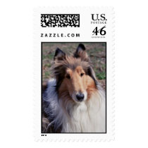 Marley postage by CollieLover Marley postage