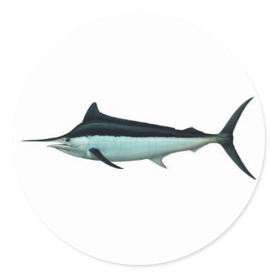 Marlin Sticker