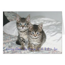 Marlon and Monty Notecards