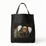 marmoset, marmosets, monkey, primate, long tailed,
