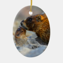 marmot and baby christmas tree ornament