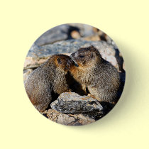 marmot buttons
