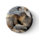 marmot pin