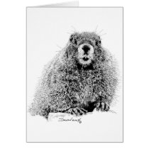Marmot Greeting Cards