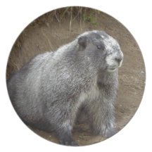 Marmot Dinner Plate
