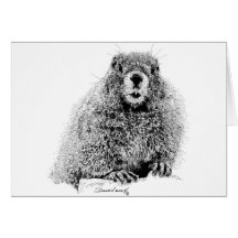 Marmot Greeting Cards