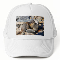 marmot hats by WorldDesign marmot hats