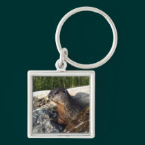 Marmot Keychain