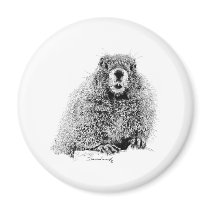 Marmot Fridge Magnets