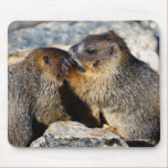 animal lover, animal, cute animal, cute animals,