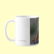Marmot mugs
