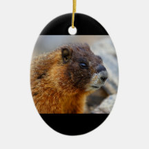 marmot portrait christmas tree ornaments