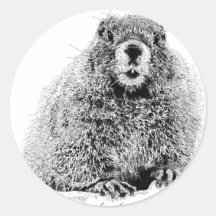 Marmot Round Sticker