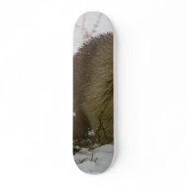 Marmot skateboards by lifesphere Marmot skateboards