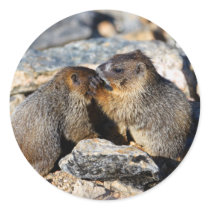 marmot stickers by WorldDesign marmot stickers