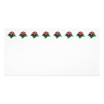 Maroon and Yellow Primroses Photo Card