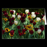 Maroon and Yellow Tulips Blank Card